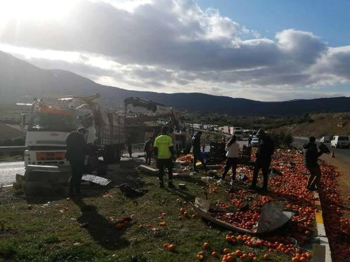 TIR devrildi, meyveler yola saçıldı