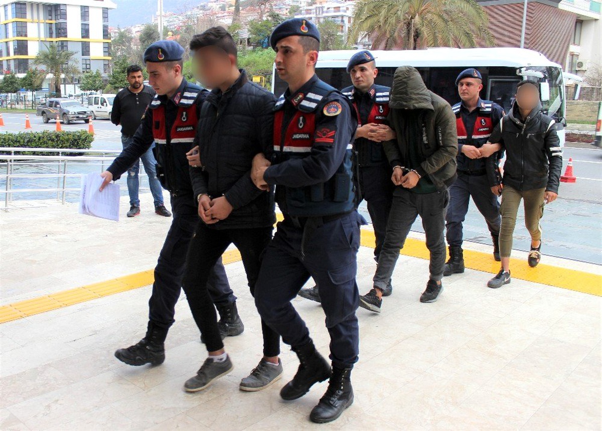 Alanya\'da avokado hırsızları jandarmaya takıldı