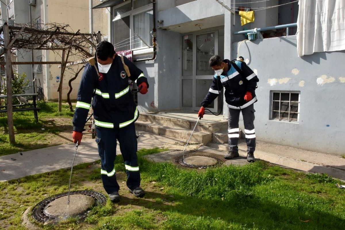 Ceyhan\'da larva mücadelesi başladı