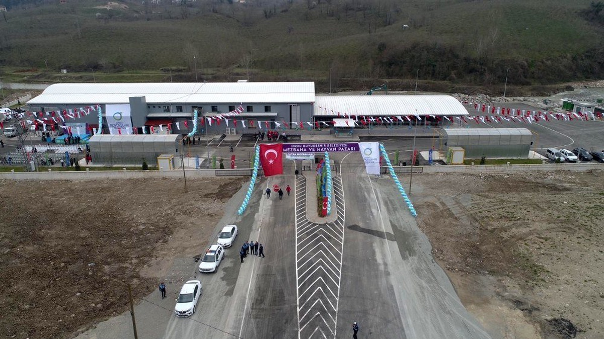 Doğu Karadeniz\'in en büyük mezbahası Fatsa\'da açıldı