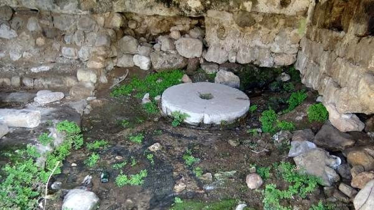 Gercüş\'te 200 yıllık su değirmenleri kaderine terk edildi