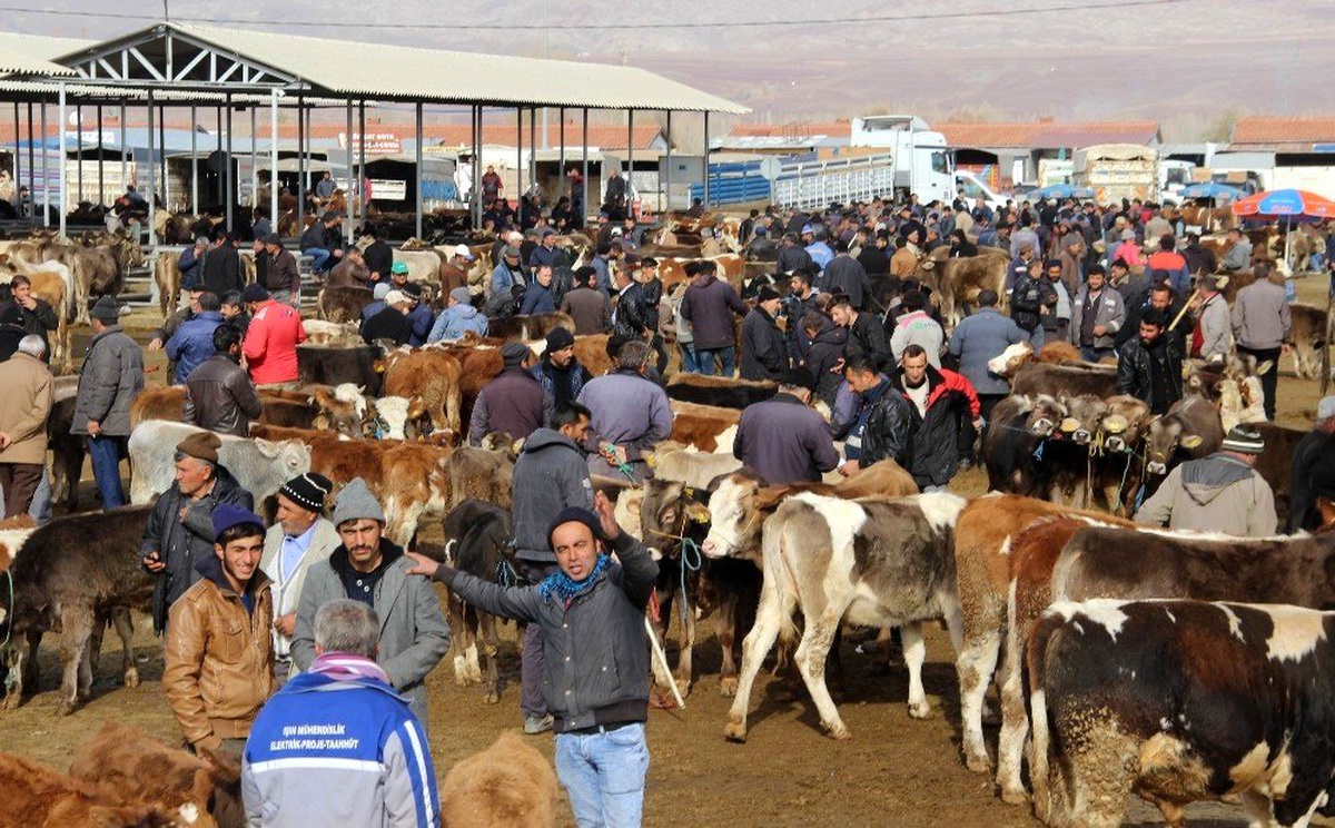 İç Anadolu\'nun en büyük hayvan pazarına şap tedbiri