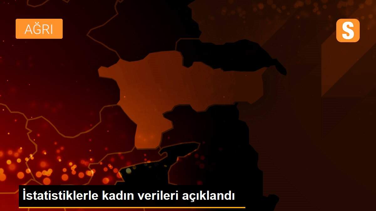 İstatistiklerle kadın verileri açıklandı