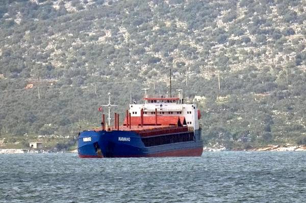 Kuru yük gemisi balık havuzlarına çarptı: 2 milyon balık denize kaçtı