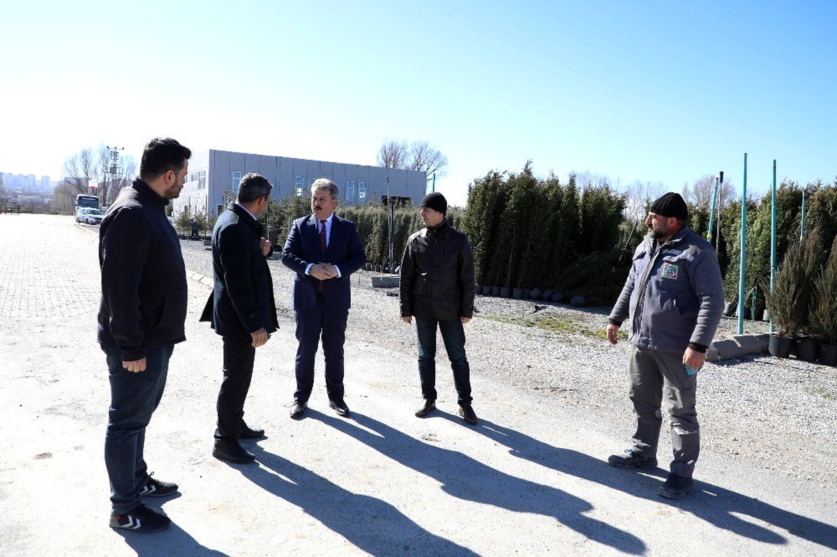 Melikgazi için tırlarla ağaçlar geliyor