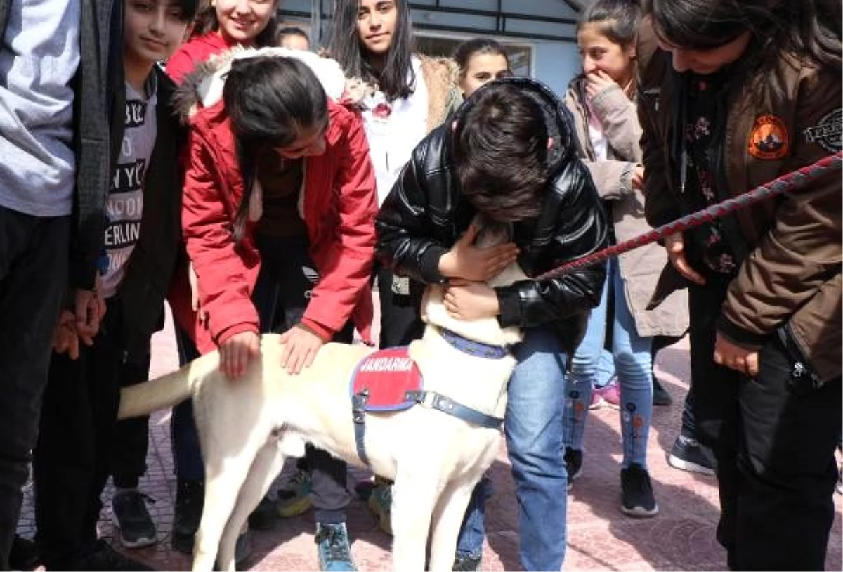 Sivaslı öğrencilerden jandarma köpeklerine yoğun ilgi