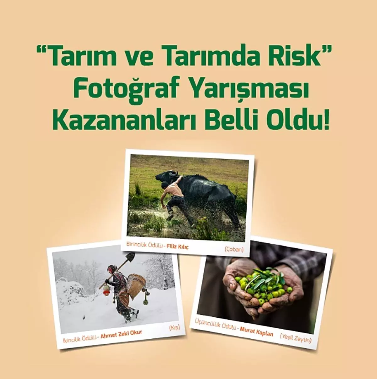 TARSİM Fotoğraf Yarışması sonuçlandı