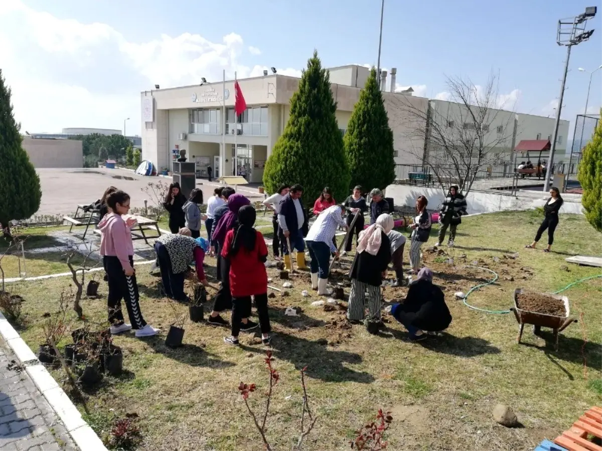 İdlib şehitlerinin adına gül fidanı diktiler