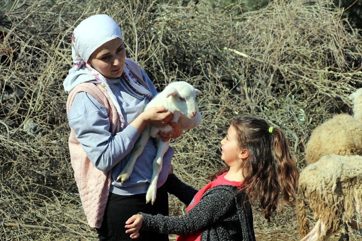 Köyüne dönüp besicilik yapan kadın azmiyle örnek oldu