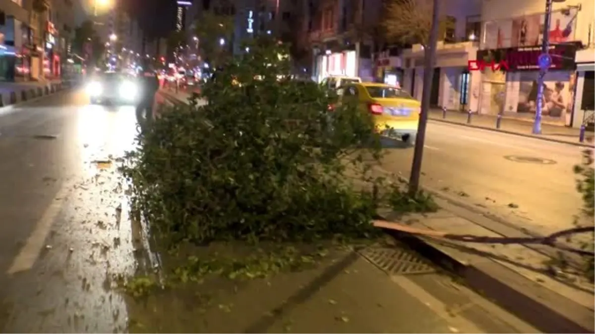 Şişli\'de kontrolden çıkan otomobil refüjdeki ağaçlara çarptı