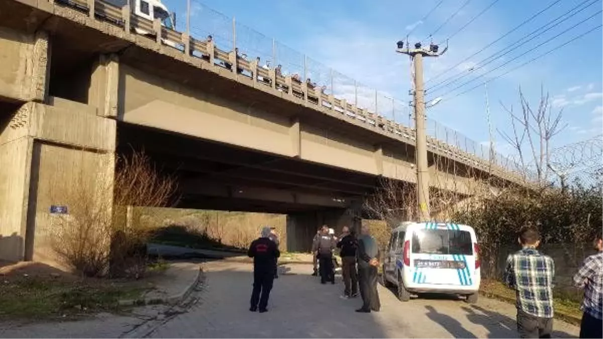 TEM yolunda zincirleme kaza, otomobil uçtu TIR asılı kaldı: 7 yaralı (2)- Yeniden