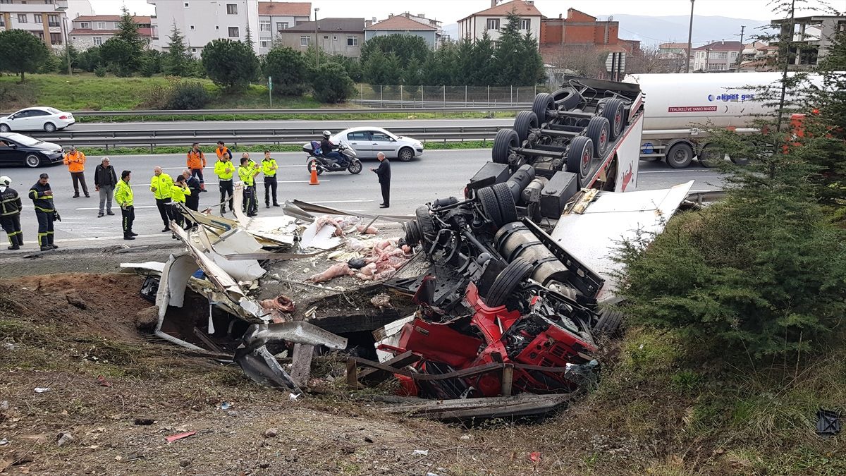 Anadolu Otoyolu\'nda et yüklü tır su kanalına devrildi: 2 yaralı
