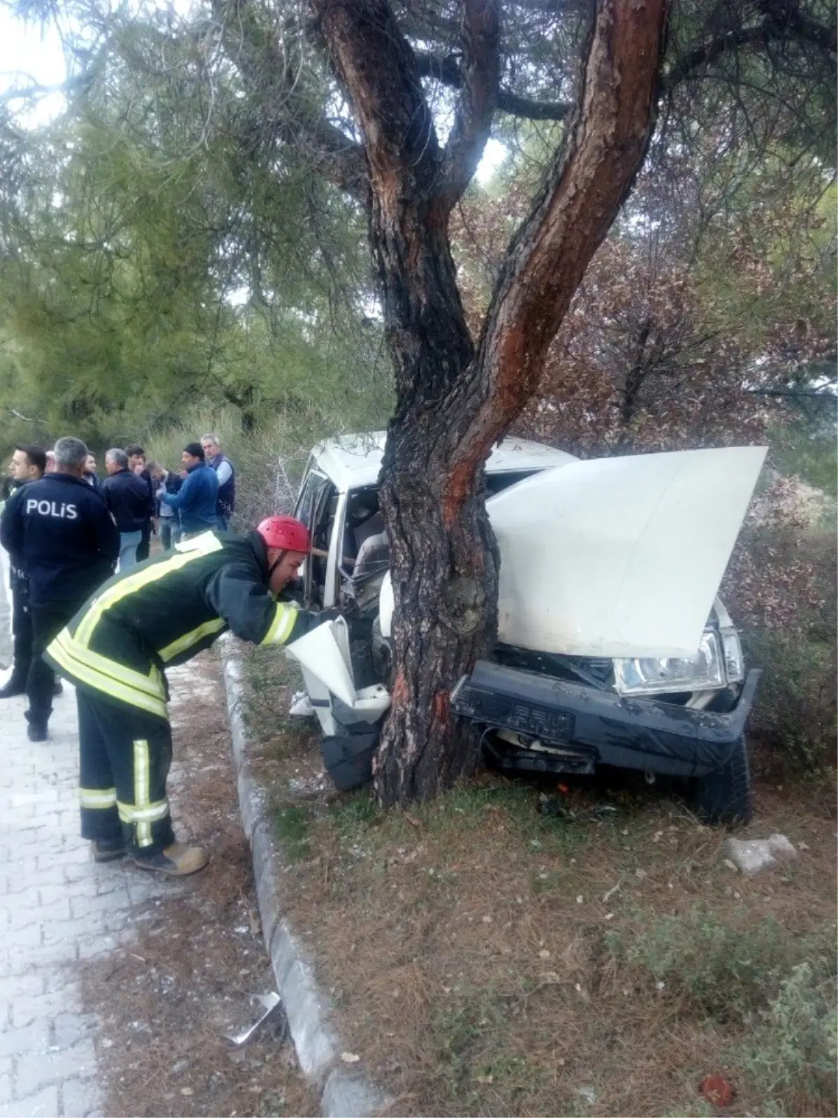 Denizli\'de otomobil ağaca çarptı: 1 ölü, 1 yaralı