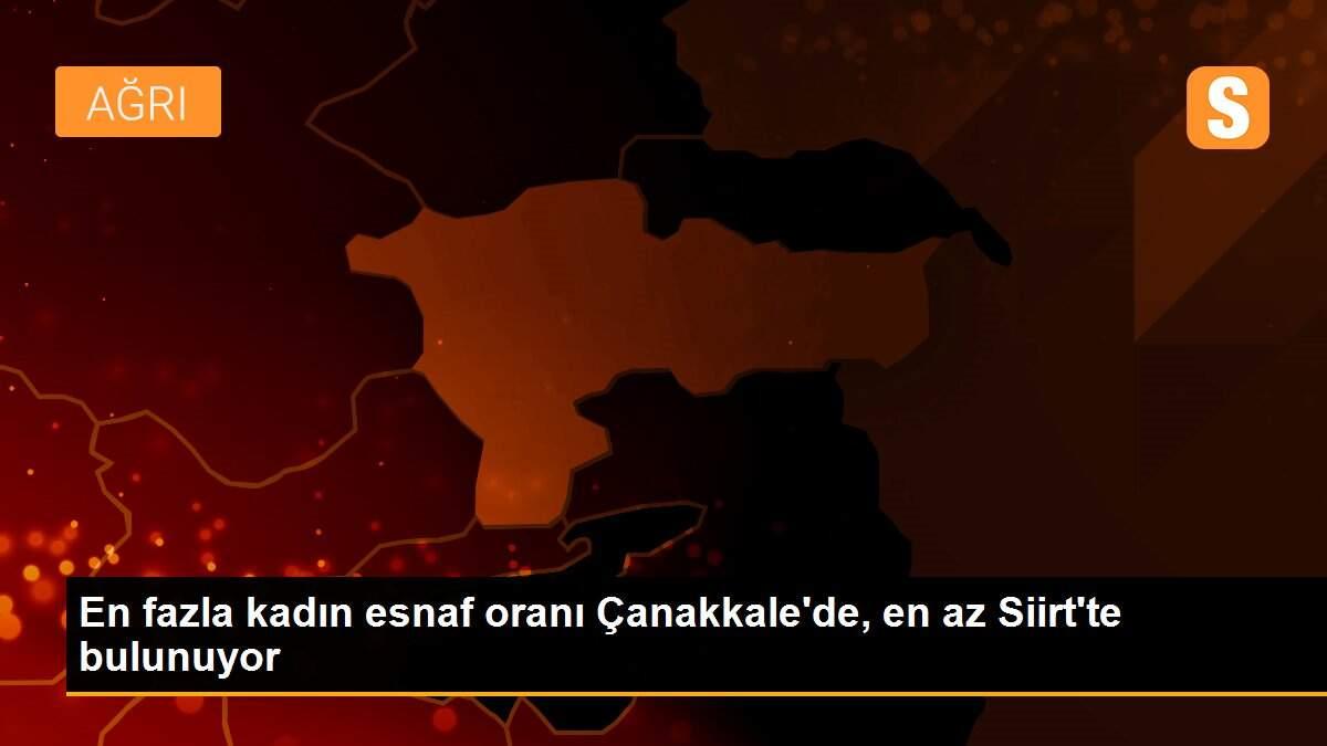 En fazla kadın esnaf oranı Çanakkale\'de, en az Siirt\'te bulunuyor