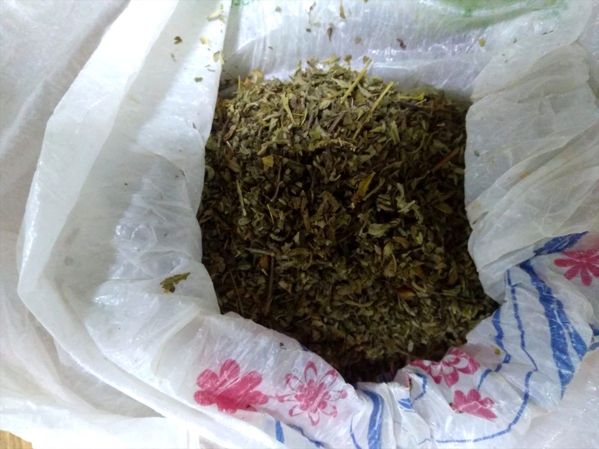 Karacabey\'de uyuşturucu operasyonları
