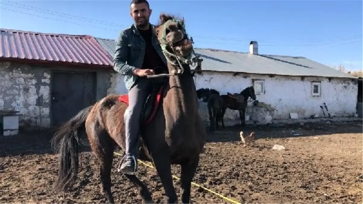 Karslı Baran\'ın at tutkusu