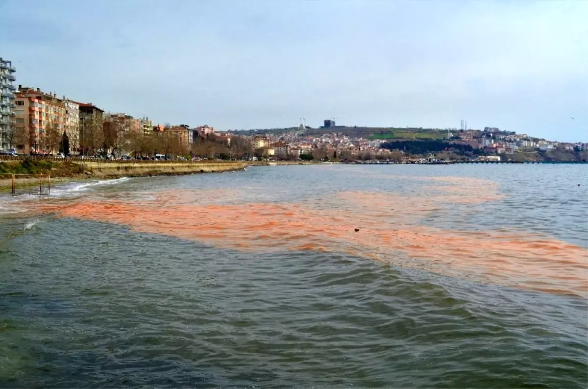 Marmara Denizi turuncuya boyandı