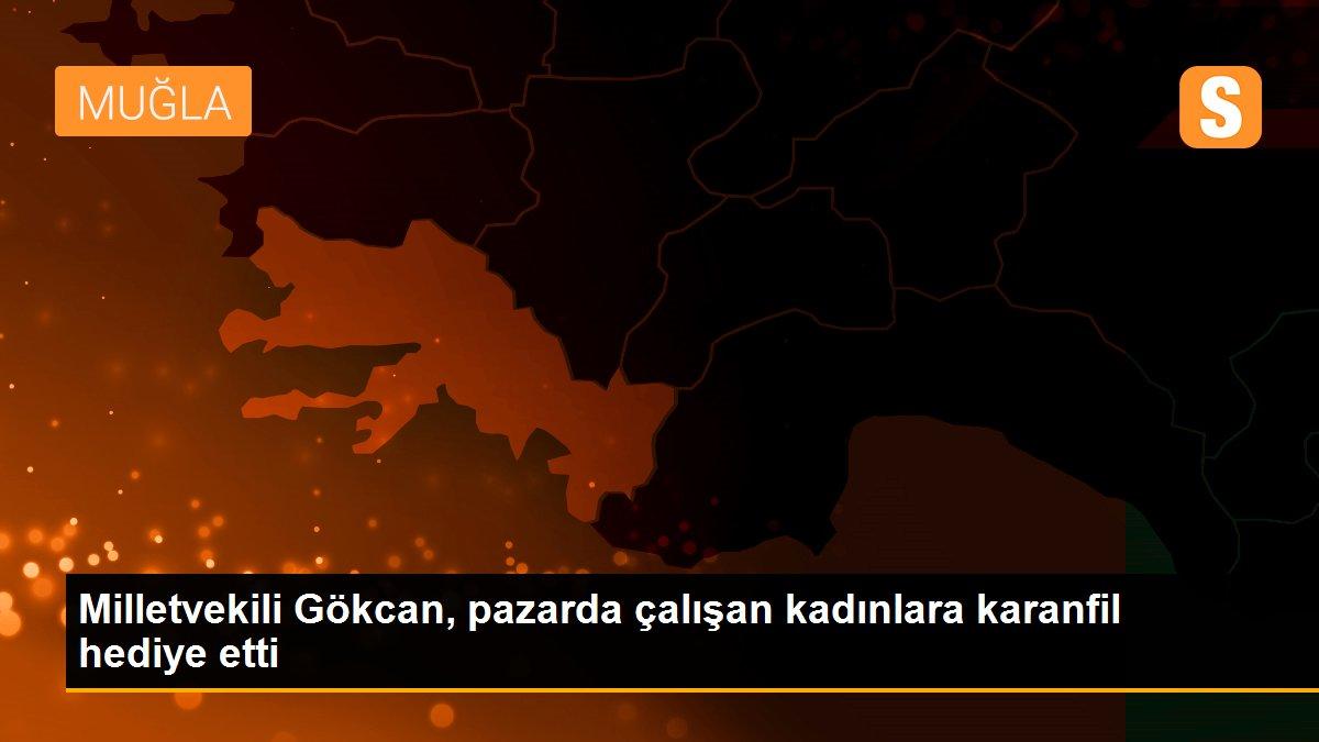 Milletvekili Gökcan, pazarda çalışan kadınlara karanfil hediye etti