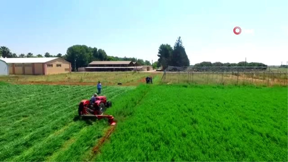 Şanlıurfa tarımında verim iki kat arttı