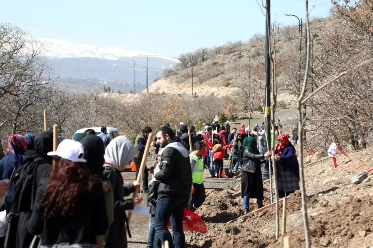 Talas\'tda İdlib şehitleri için fidan dikimi