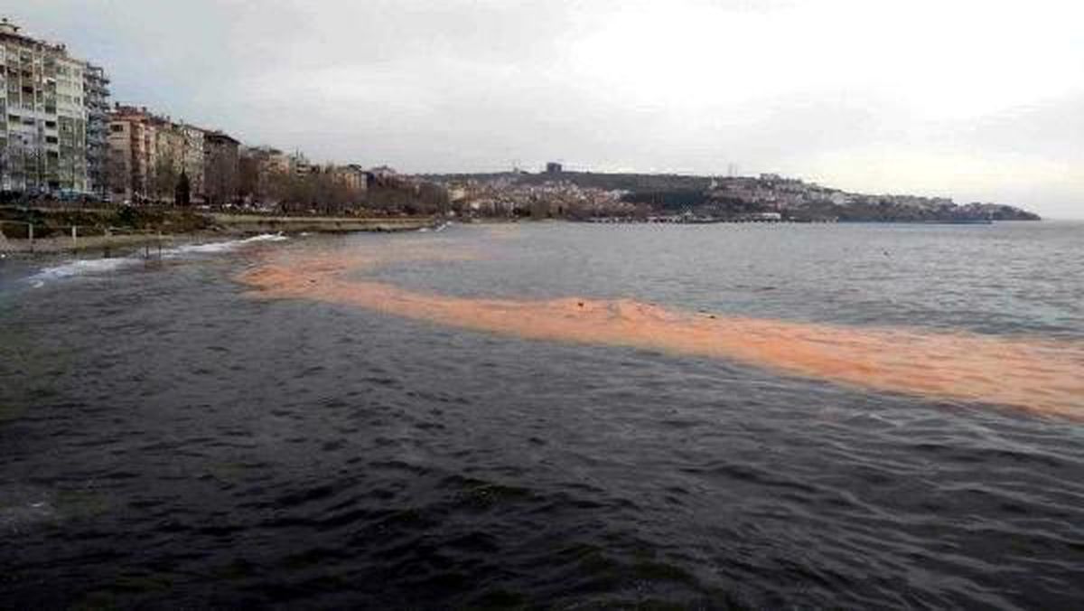 Tekirdağ\'da deniz turuncu renge büründü