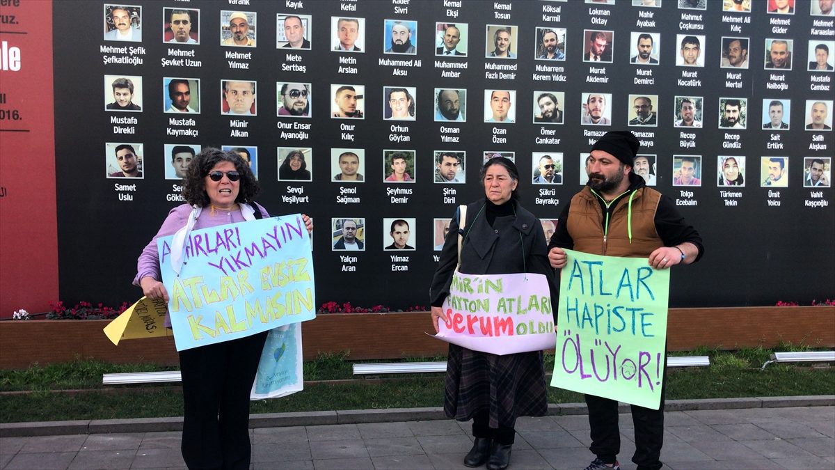 Adalar\'da 35 atın öldüğü iddiası