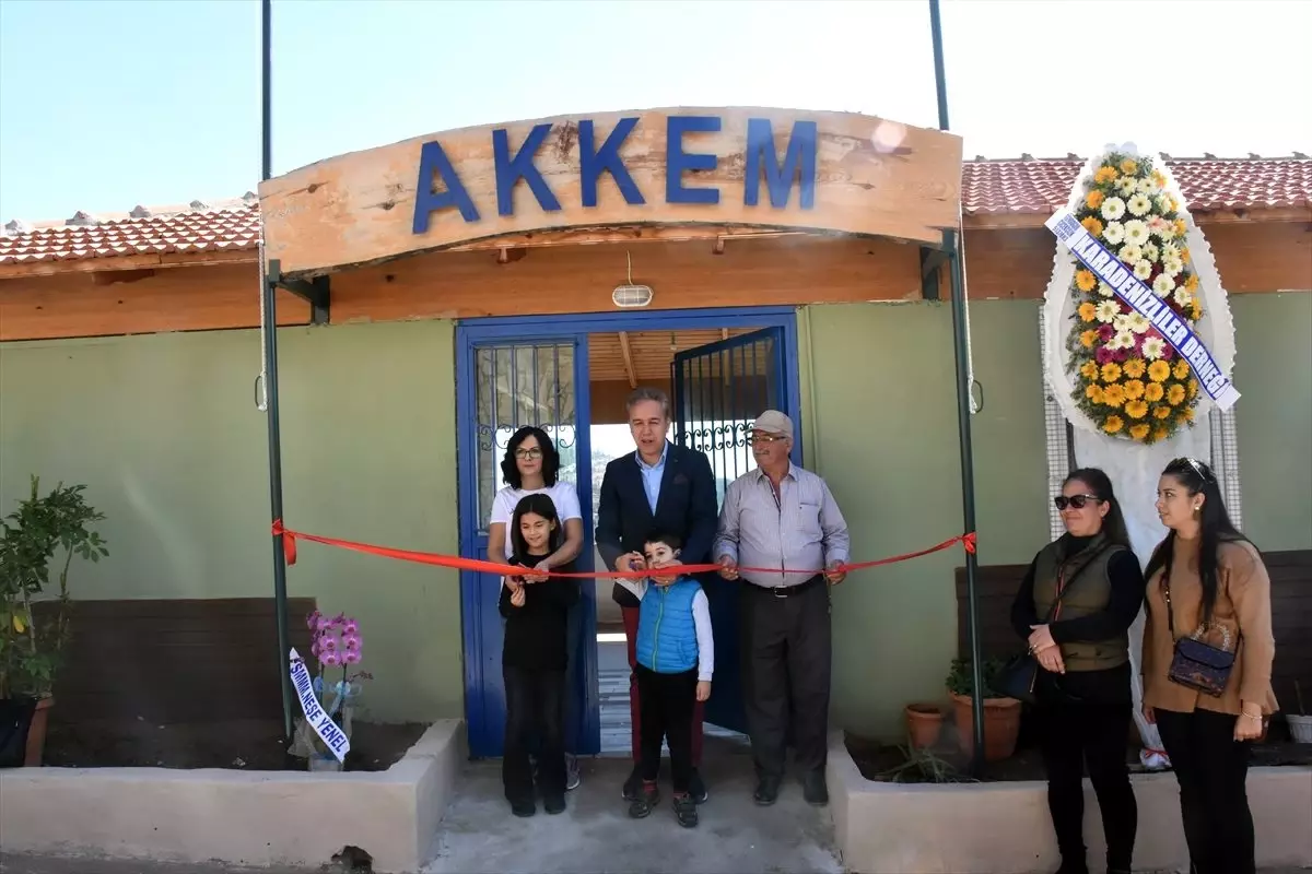 Alanya\'da kedi ve köpekler için otel açıldı