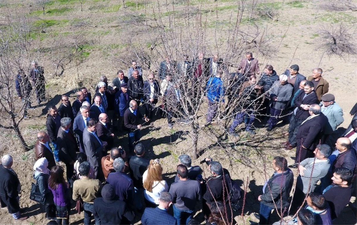 Meyve yetiştiriciliği ve budama eğitimi