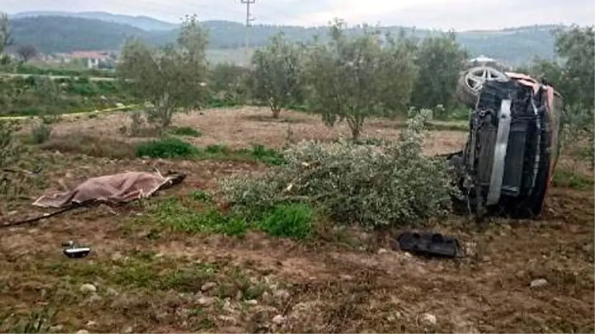 Kontrolden çıkan otomobil zeytin bahçesine uçtu: 2 ölü