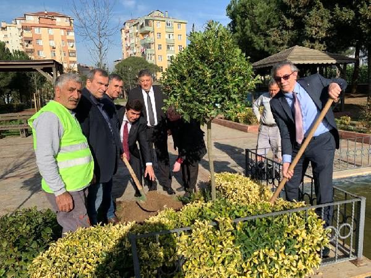 Uzlaştırmacılar çalıştay düzenleyip, fidan dikti