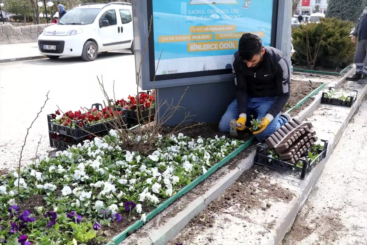 Yozgat Belediyesi 250 bin çiçeği toprakla buluşturuyor