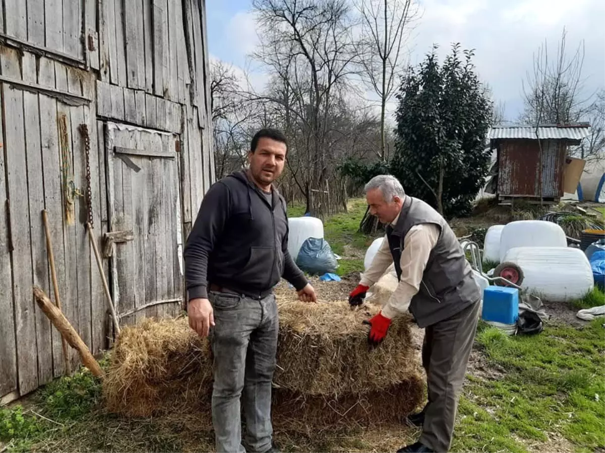 Avcıdan örnek davranış