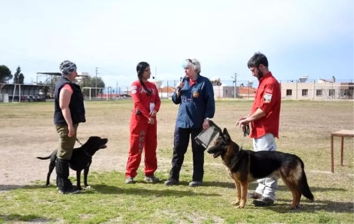 K9 köpekleri, itaat ve doğa arama sınavlarıyla test edildi