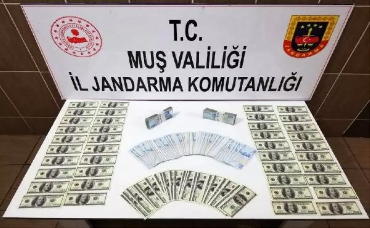 Muş\'ta 9 bin 700 adet sahte 100 dolar ele geçirildi