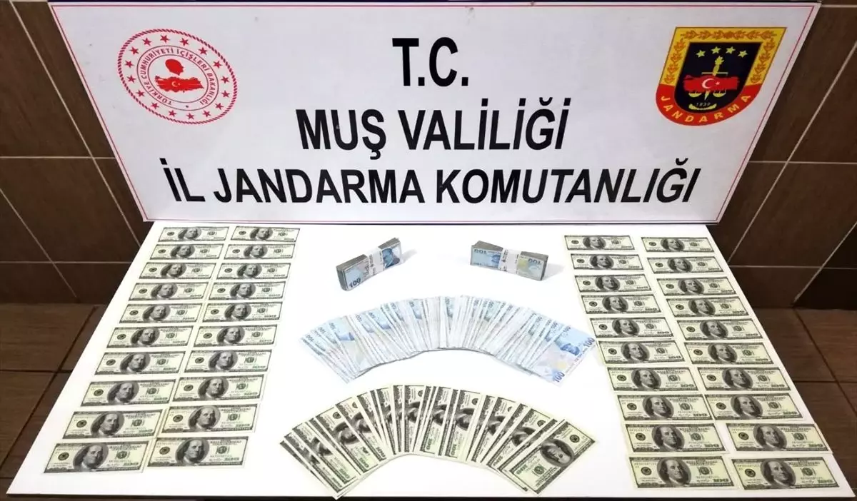 Muş\'ta sahte dolar operasyonu