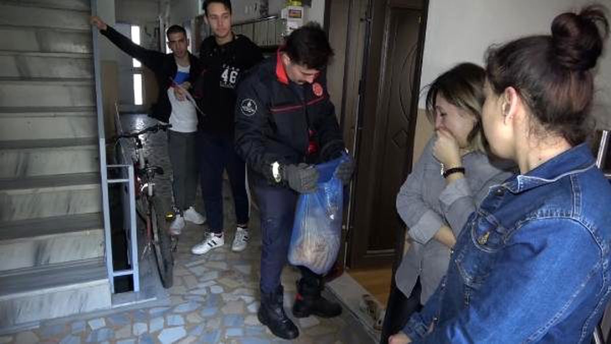 Ölen kedisine son bakış