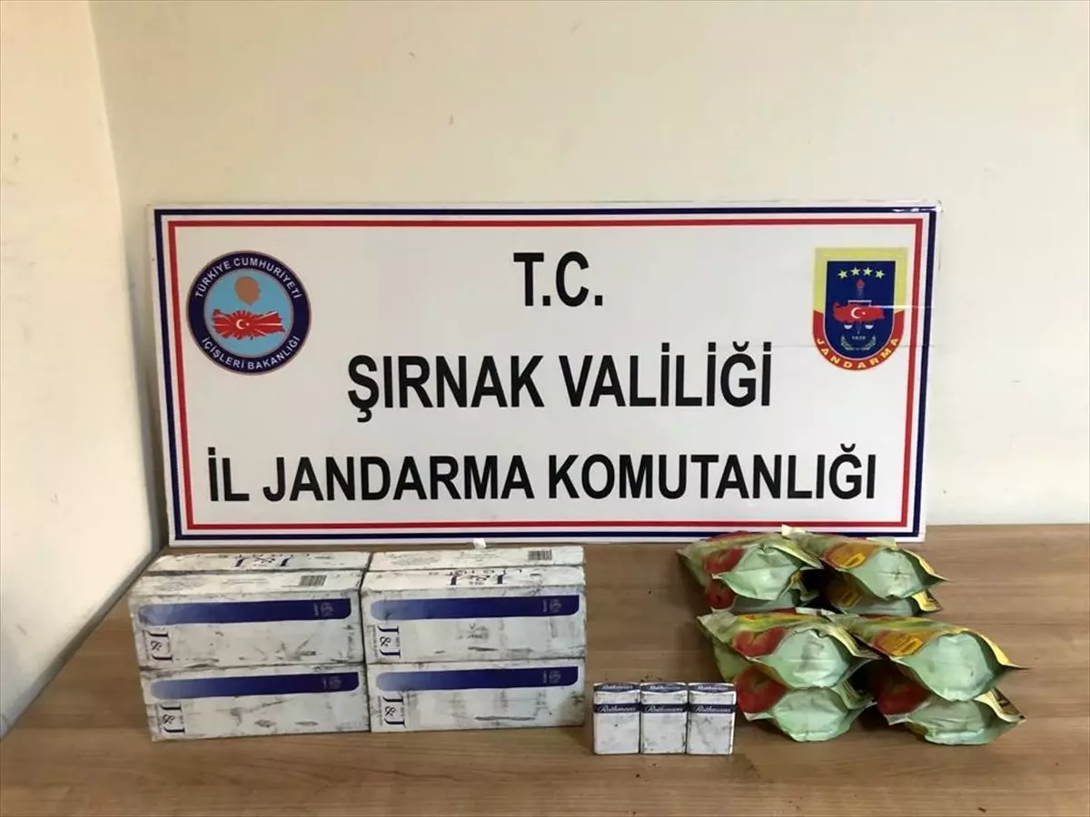 Şırnak\'ta kaçakçılık operasyonlarında yakalanan 42 kişiden 2\'si tutuklandı