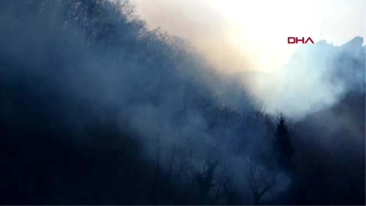Trabzon\'daki orman yangınları kontrol altına alındı