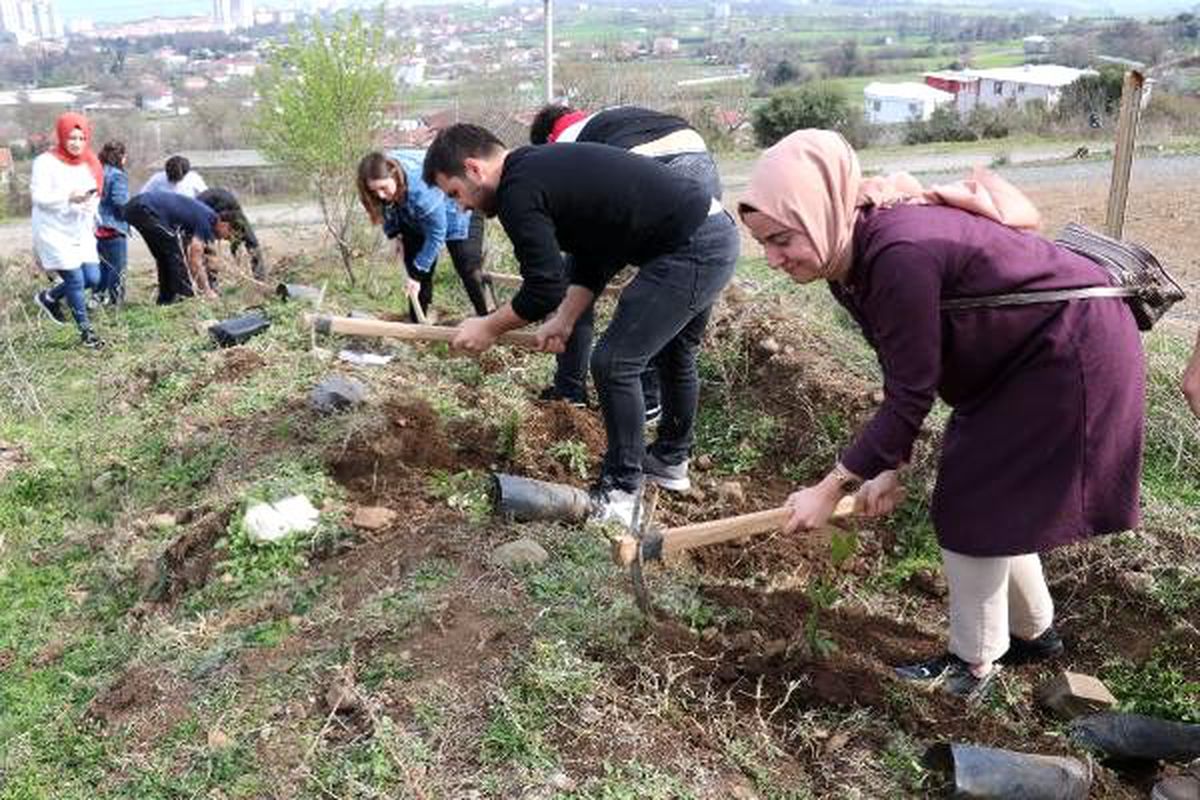 Üniversiteli öğrenciler, öldürülen kadınlar için fidan dikti