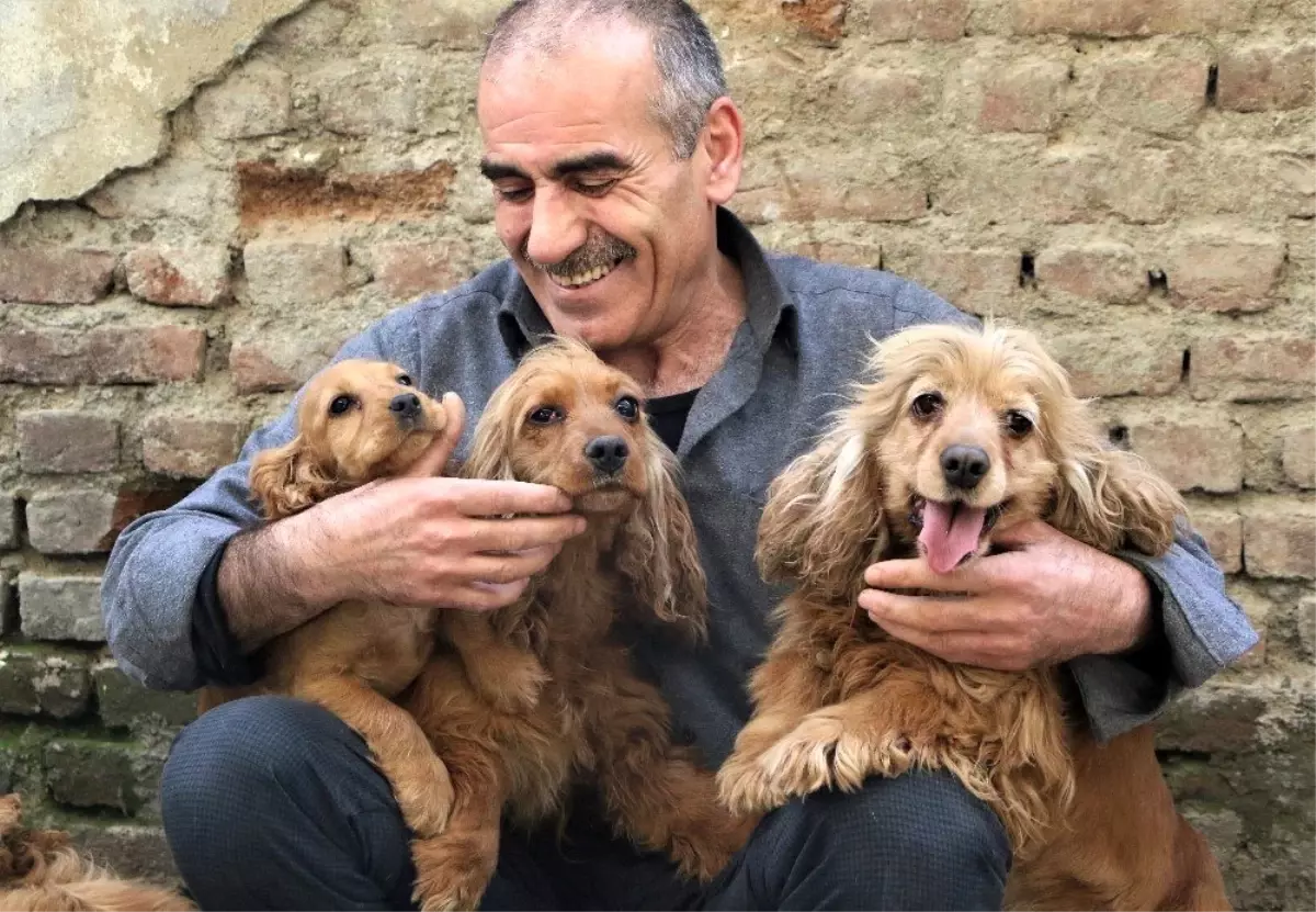 Depremzedenin köpek sevgisi, onlardan ayrılamıyor