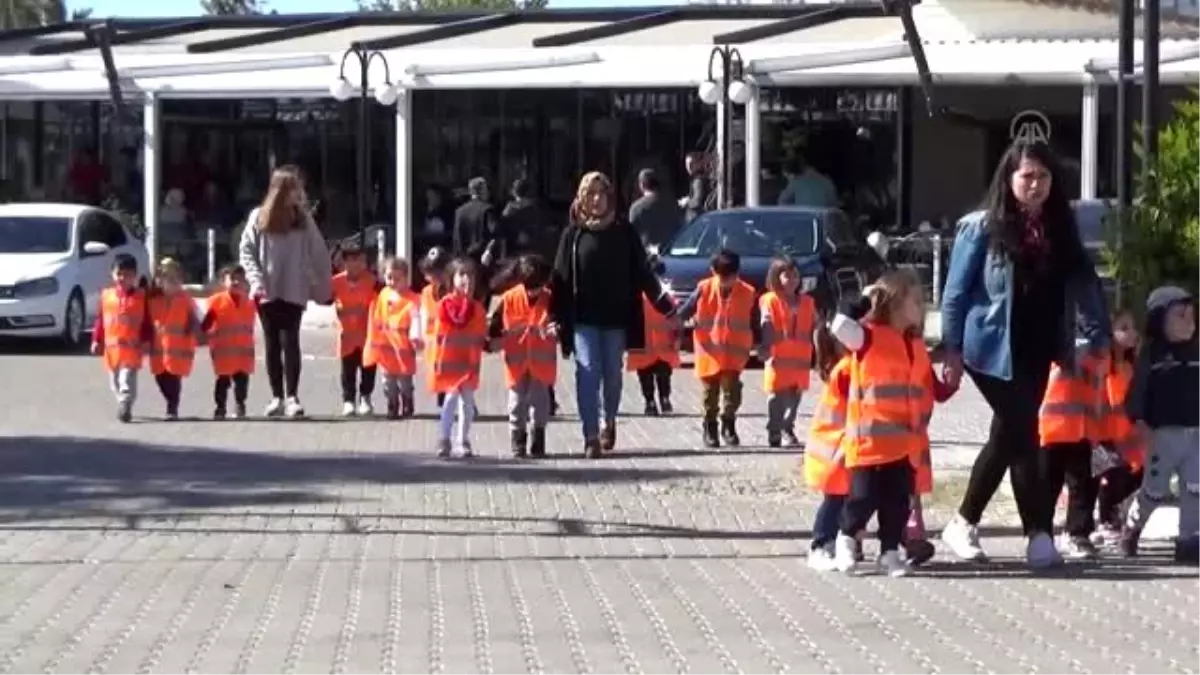 İdlib şehitleri anısına fidan dikildi