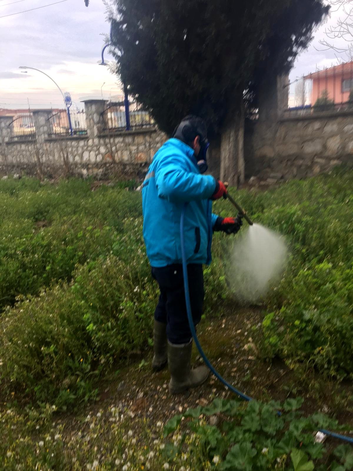 Mezarlıklardaki Yabancı Otlar İlaçlanıyor