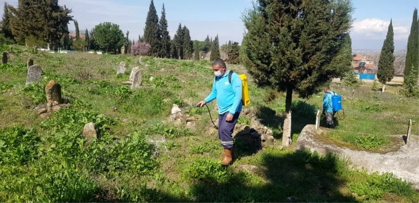 Mezarlıklardaki yabancı otlar ilaçlanıyor