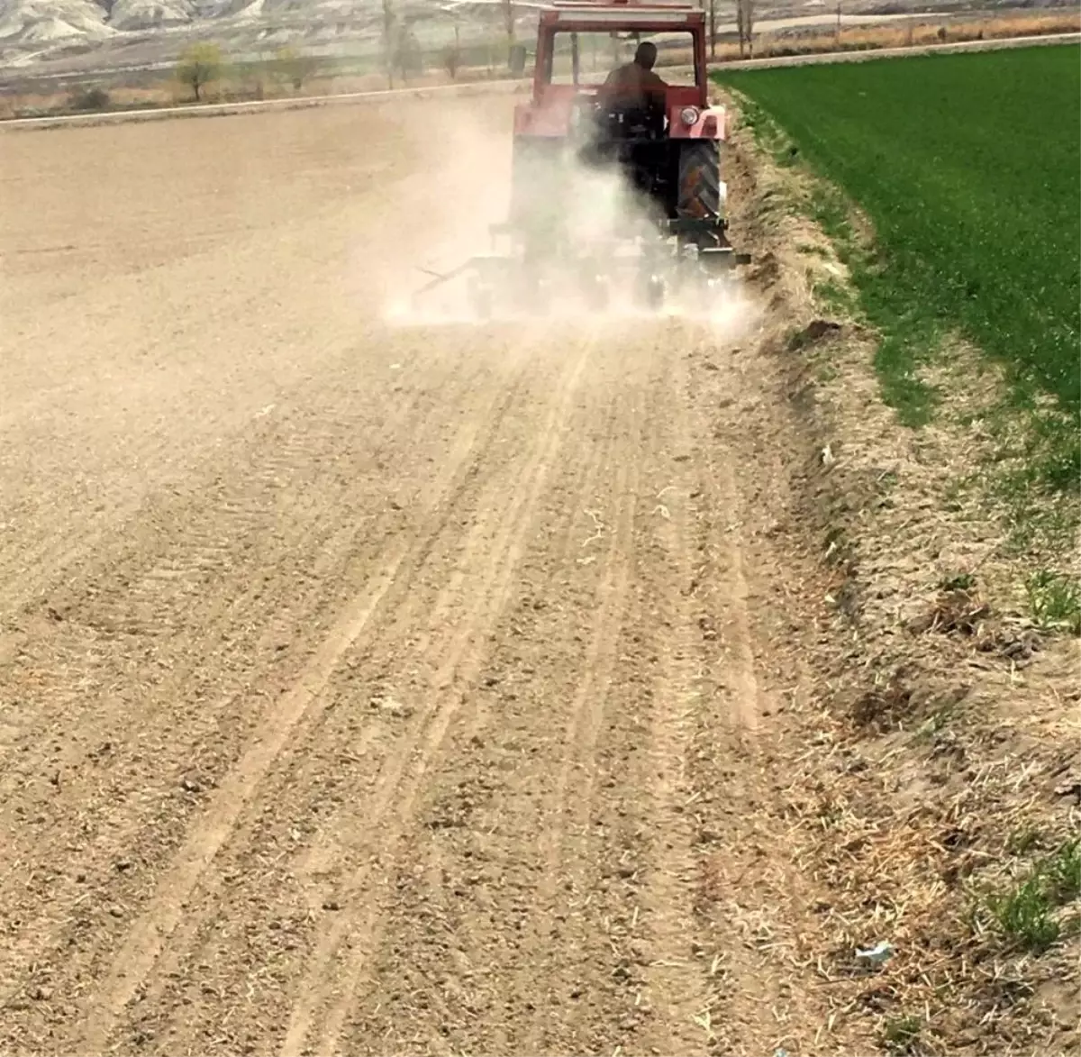 Soğan tohumları toprakla buluşmaya başladı