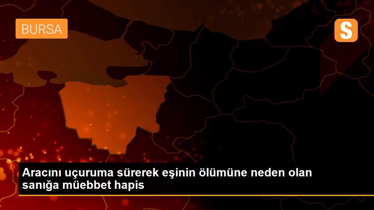 Aracını uçuruma sürerek eşinin ölümüne neden olan sanığa müebbet hapis