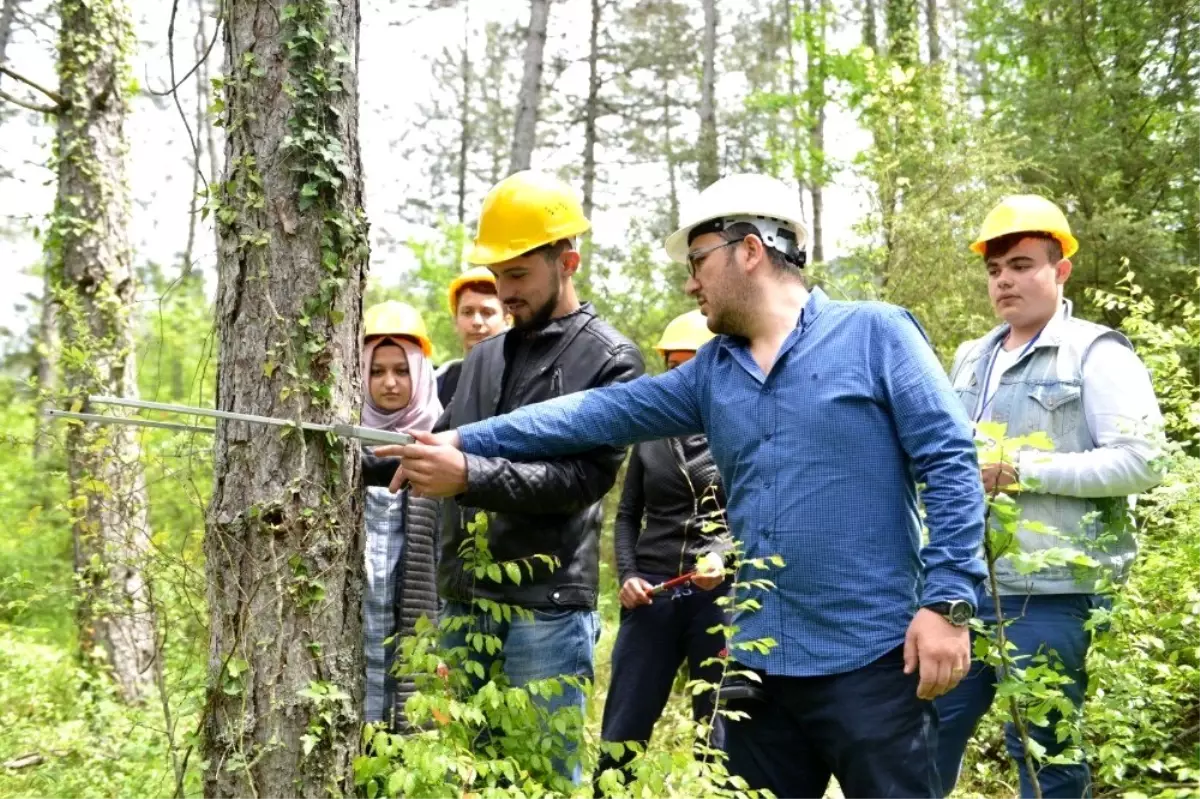 Bartın Üniversitesi mezunu 193 öğrenci OGM\'ye atandı