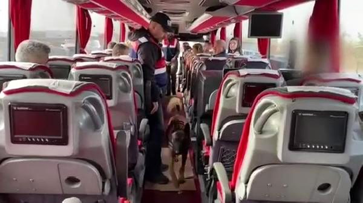 \'Çiko\', kokuyu önlemek için salçayla gizlenen vücuda sarılı esrarı buldu