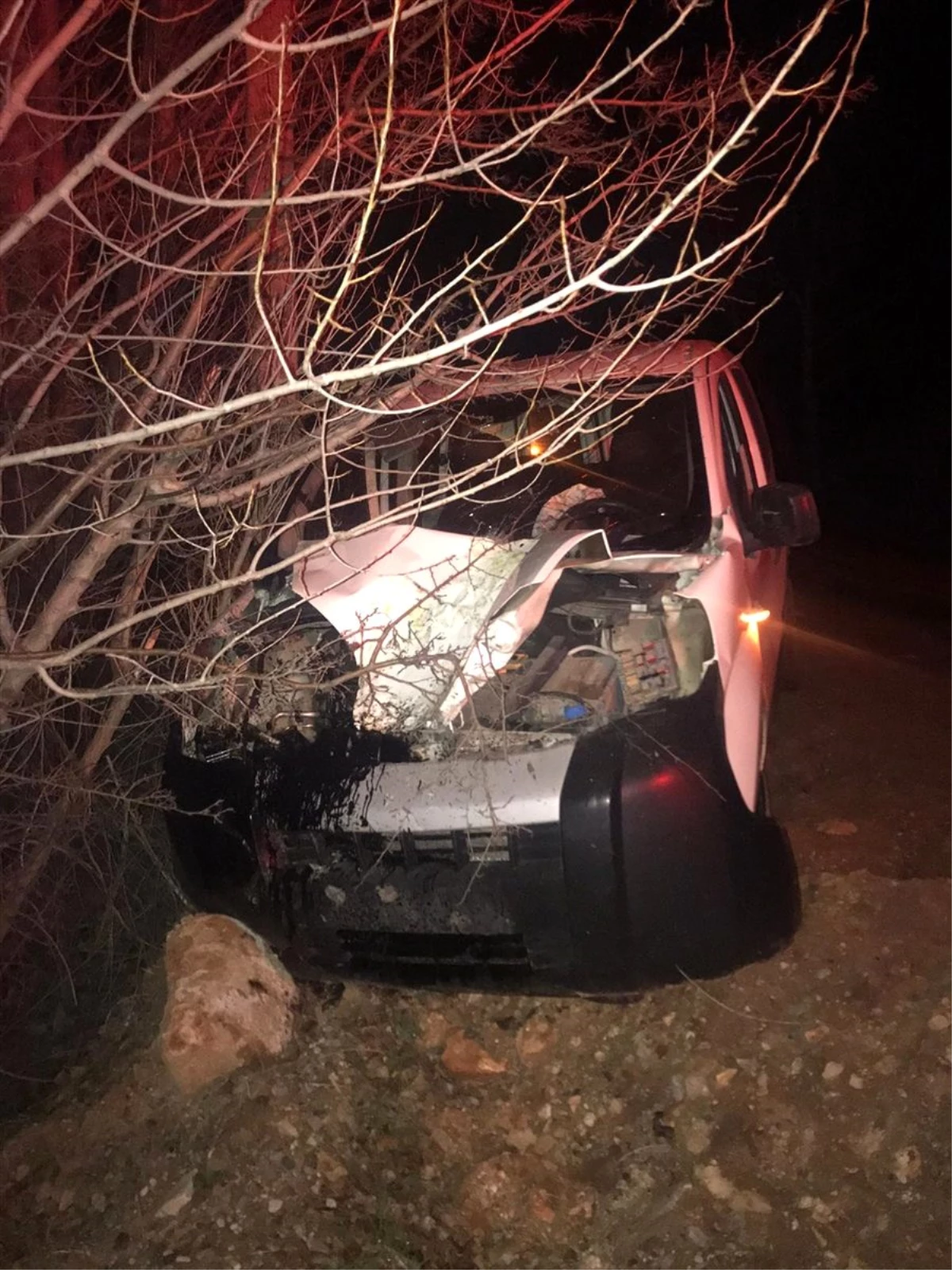 Doğanşehir\'de hafif ticari araç ağaca çarptı: 2 yaralı
