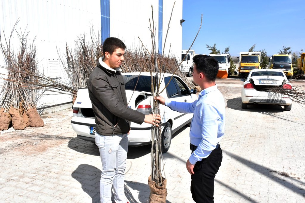 İnönü\'de 4000 Ceviz Fidanı Toprakla Buluşuyor