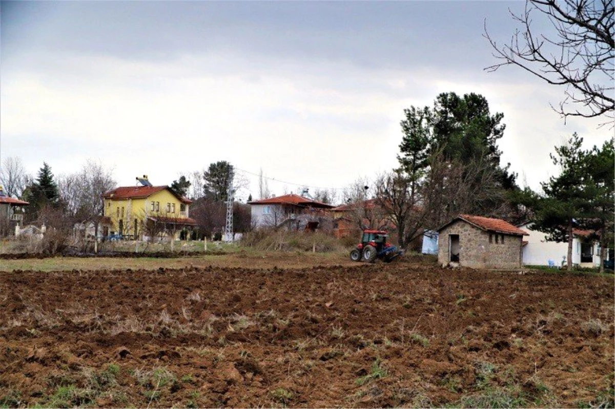 Lavanta Yetiştiriciliği Demonstrasyon Eğitim Bahçesi Projesi